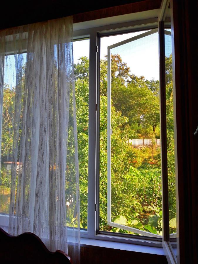 Vaso's Guesthouse Katskhi Eksteriør billede