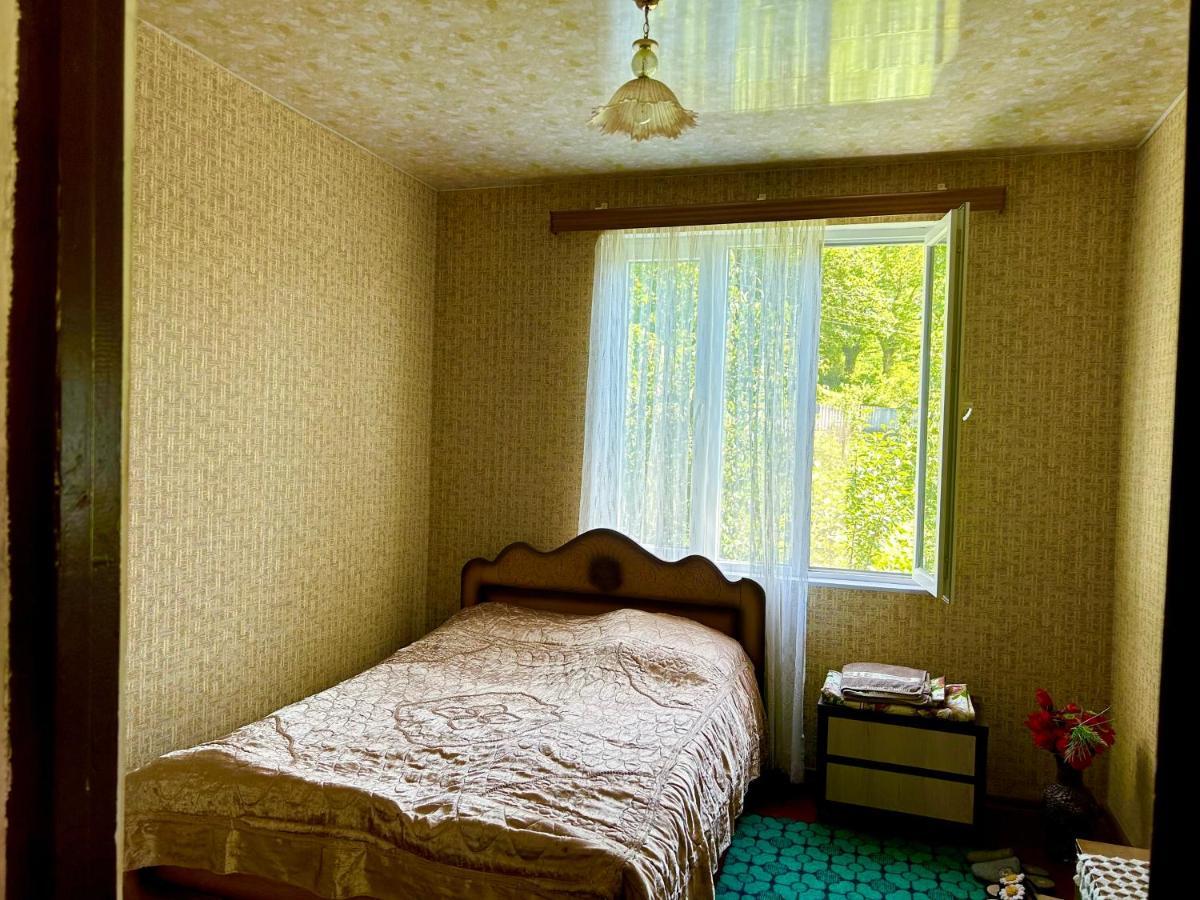 Vaso's Guesthouse Katskhi Eksteriør billede